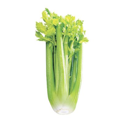 FRESH - CELERY 2.5lbs Bag